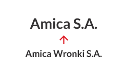 2016 - Pakeistas pavadinimas iš Amica Wronki S.A. į Amica S.A.